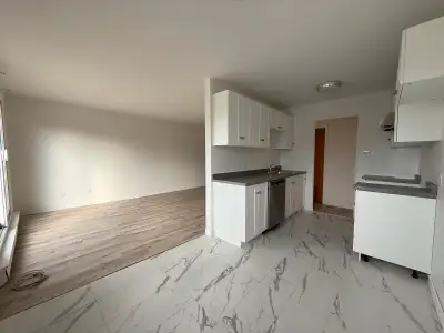Grand 4 1/2 rénové sur le Boulevard Saint-Martin Est, Duvernay