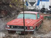 1967/1968 ford mustang Fastback any condition WANTED!
