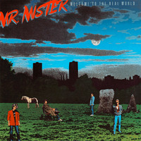 Welcome to the Real World 1985 2nd studio release by Mr. Mister