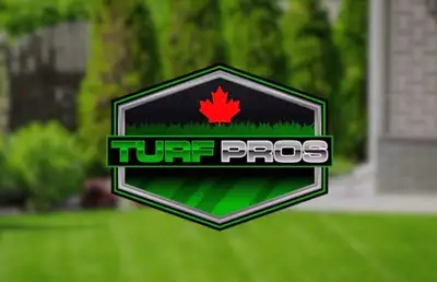 Professional Lawn Mowing Grass Cutting GREAT RATES, View more