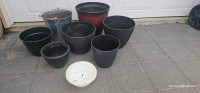 Plant pots