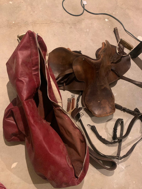 English riding saddle in Equestrian & Livestock Accessories in Kamloops