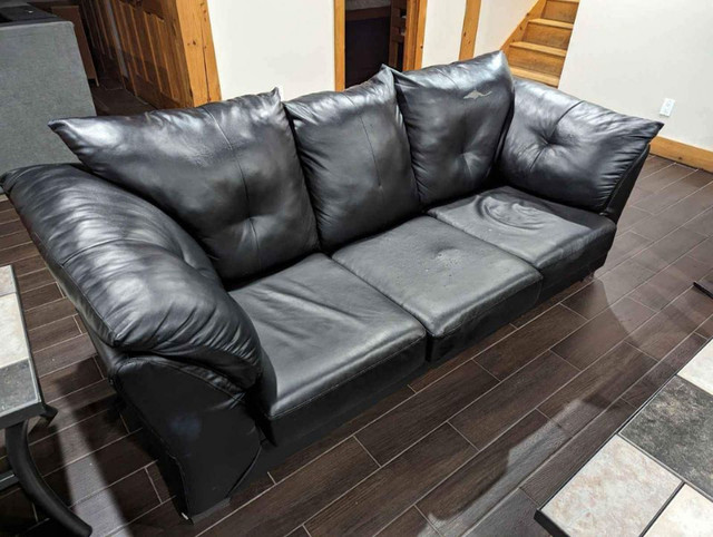 Sofa Bed / Pull-out couch (Genuine leather, black) in Couches & Futons in Ottawa - Image 2