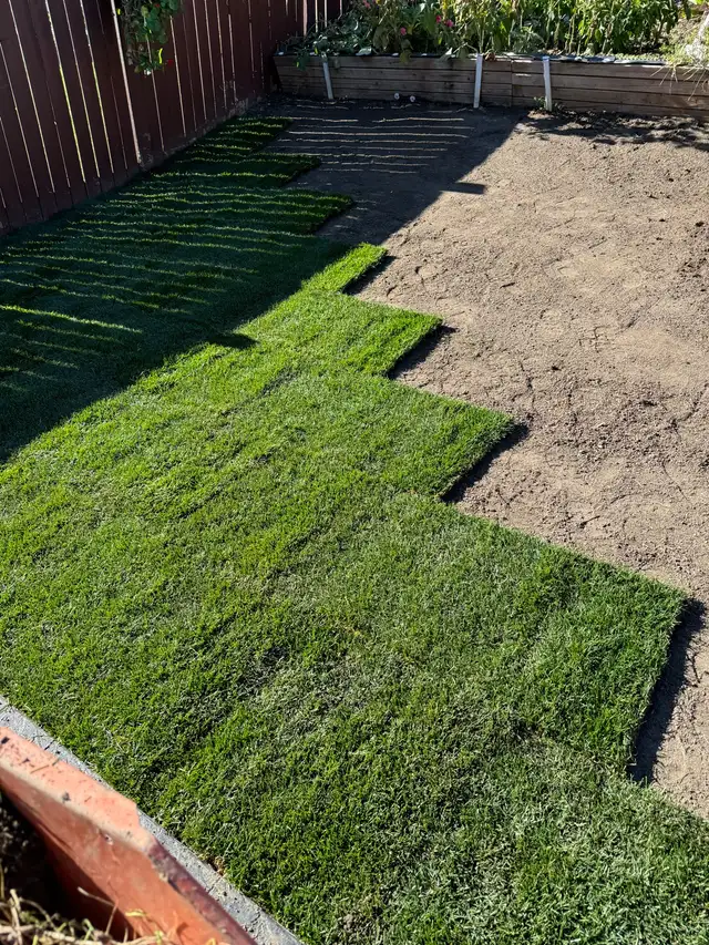 SOD INSTALL - NEW GRASS!63008305251073121