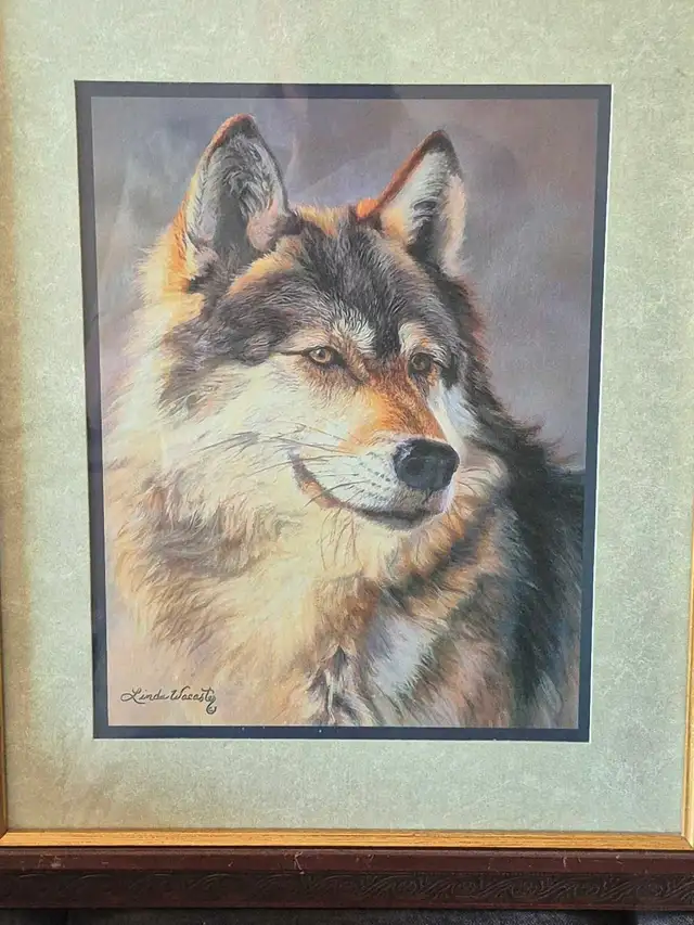 wolf Pictures 469589108112107522