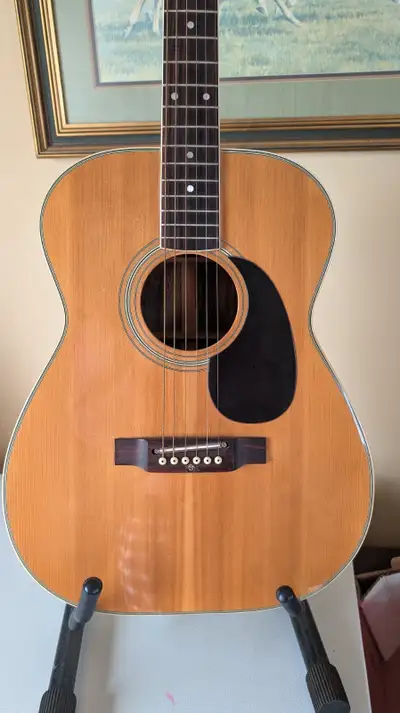 Rare 1960s Barcley Custom Vintage Acoustic, View more