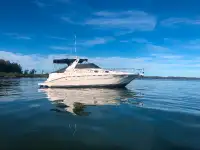 Sea Ray 330 Sundancer with Trailer