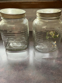 Vintage nabob coffee jars with lids