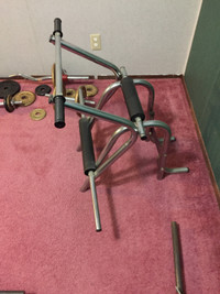 Weider free weight set/accessories $700 obo cash only