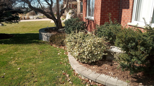 Affordable, Beautiful Landscaping in the KW & Cambridge area in Lawn, Tree Maintenance & Eavestrough in Kitchener / Waterloo - Image 3