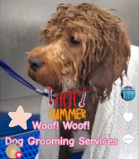 That was great ~ GROOMING 