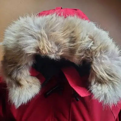 Canada Goose Women's Small Chilliwack Bomber Jacket, View more