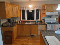 Kitchen Cabinets and counter tops