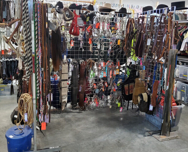GREAT DEALS on Horse Tack, Supplies, Riding Equipment/Clothing in Equestrian & Livestock Accessories in Calgary - Image 4
