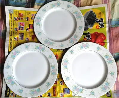 2pcs VINTAGE CHINA GARDEN PRESTIGE JIAN SHIANG DINNER PLATES, View more