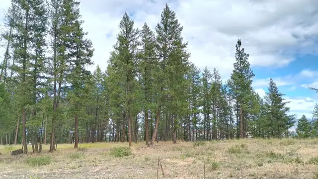 Princeton BC 1.999 Acres Land for Sale by Owner in Land for Sale in Penticton - Image 10