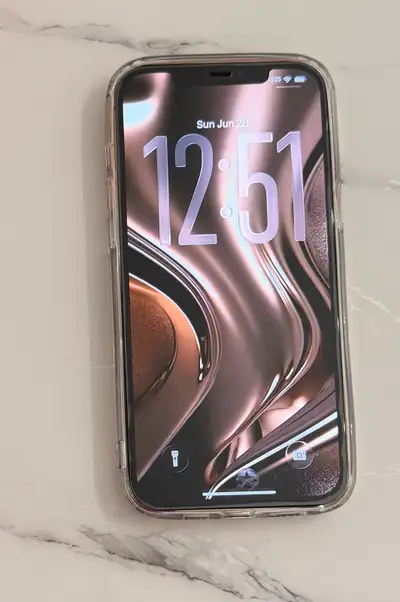 iPhone 12 PRO MAX 256GB 100%BH *Please Read AD, View more