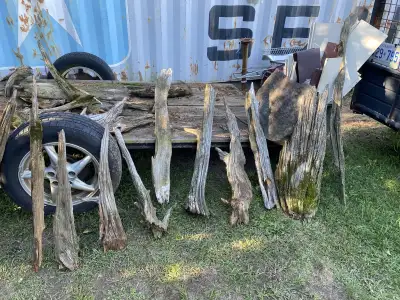 Yard Decor,Drift Wood,More, View more
