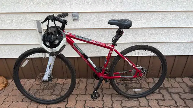 found: schwinn talik bike514440261702799361