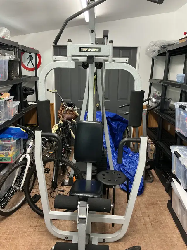 Exercise workout gym63749433552387120