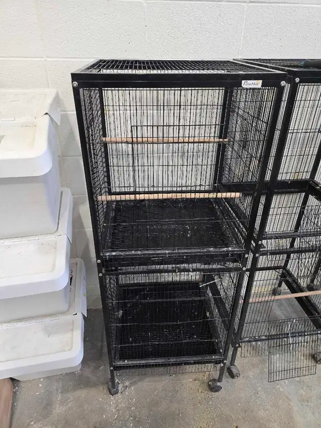 2- Tier Bird Cages