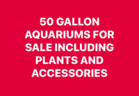 Aquariums For Sale 