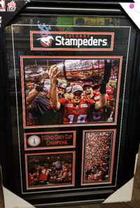 Calgary Stampeders Framed Print