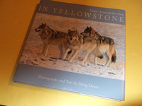 year in Yellowstone National Park signed by author Photographer