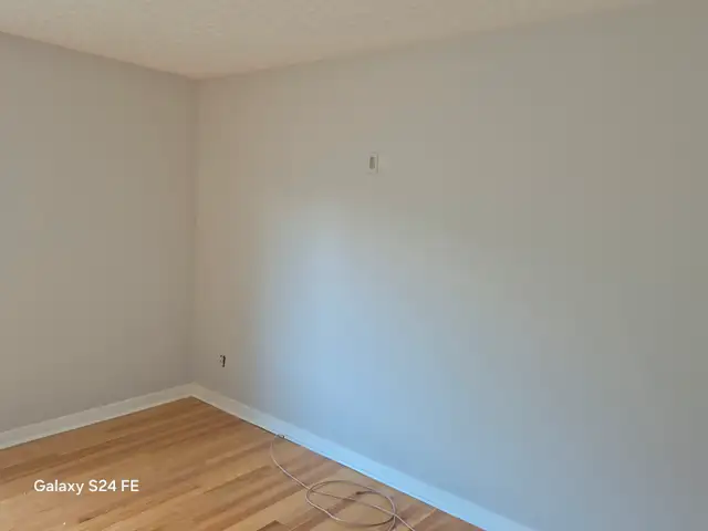 Professional Painter For Hire Ottawa Area542978699167027205