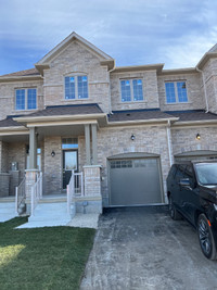 Brand New Executive Townhome For Rent in Bradford, 3 Beds 3 Bath