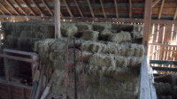 SMALL SQUARE BALES OF HAY