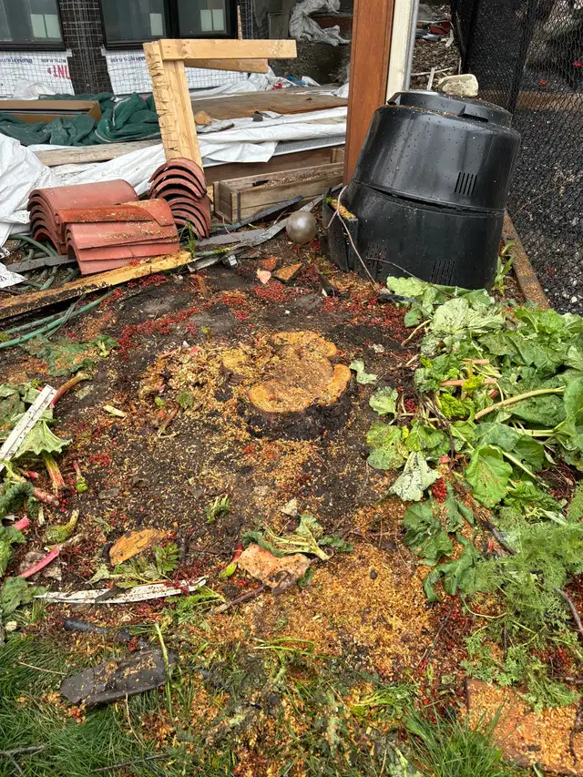 Tree removal/stump grinding62863721161859123