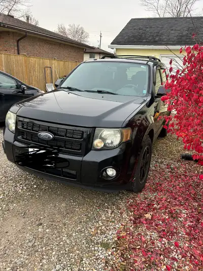 Selling my 2009 ford escape , still used as daily driver Engine light is on pretty sure due to gas c...