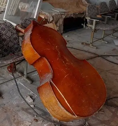 Double bass - cello, View more