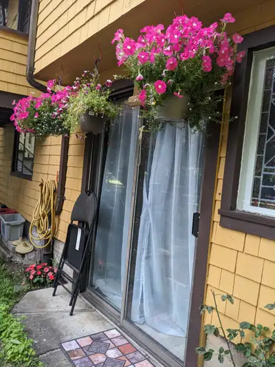 Private Room for Female UBC/International Student in Kitsilano, View more