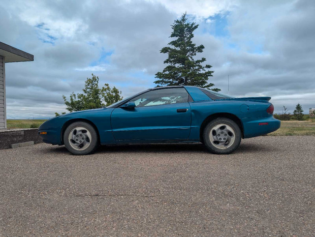 Firebird in Cars & Trucks in Medicine Hat - Image 2