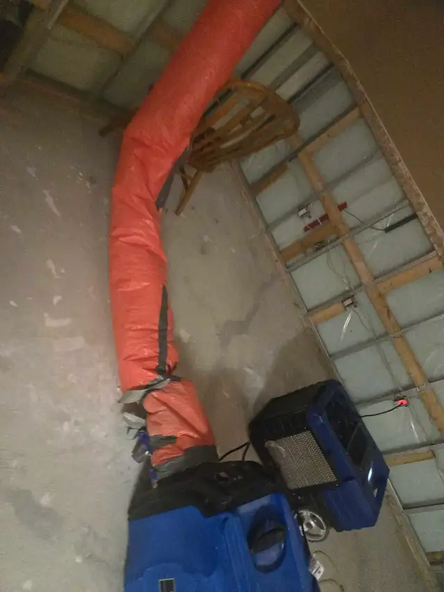 Mold Removal Specialist