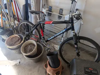 19 inch frame good condition