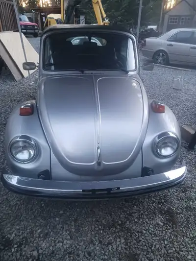 Champagne edition motor redone disc brakes runs real nice top in good shape