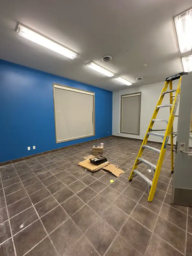 Painting and Staining Expert65561307554433124