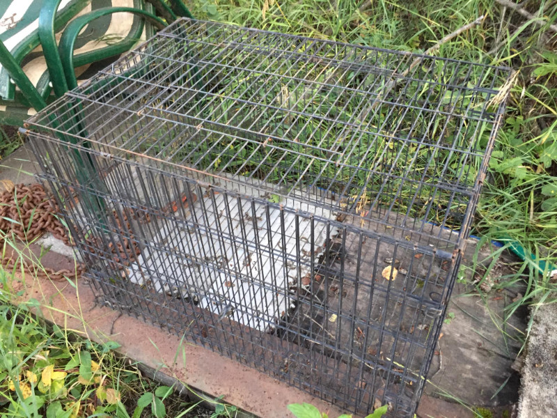 33 ads for rabbit cage in All Categories in Alberta Kijiji Marketplaces