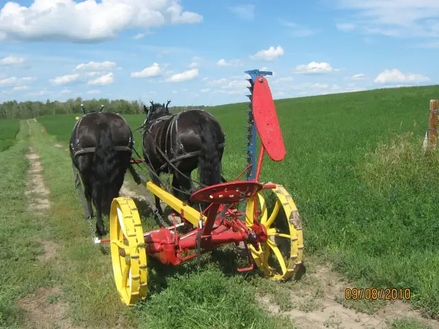 ISO partners65048424612099121