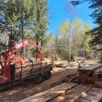 Hemlock rough cut lumber 
