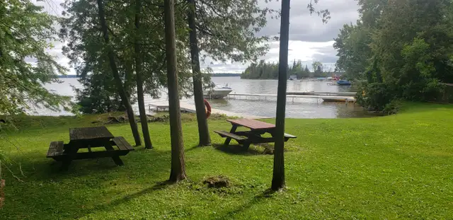 Cottage on Balsam lake near Balsam lake provincial park in Ontario in Canada - Image 5