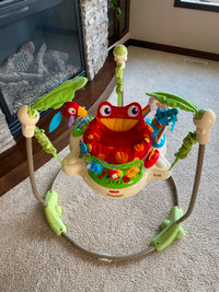 Fisher-Price baby Jumperoo-Rainforest