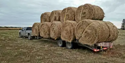 Tractor's Custom Hay Hauling , View more