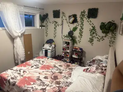 My roommate is moving for a school internship and we looking for someone to take the room ! Mostly p...