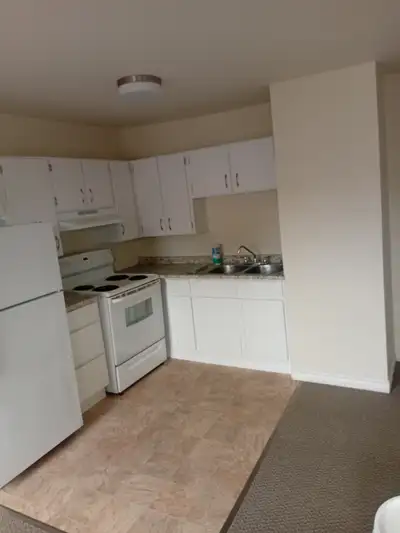 1 bedroom apartment 57 bayfield st. heat and hot water included 1100 per month 550 security deposit...