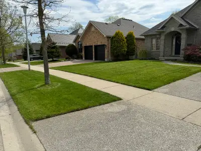 IMMEDIATE Conrete Repair/Grounds Maintenance/Junk Removal, View more