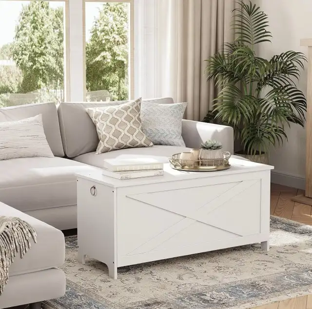 New storage bench $40 price firm (READ DESCRIPTION)